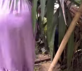 Paciência preciso muito, mas sempre há pouco part2