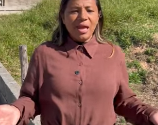 D0004011 Não foi a vizinha que entrou