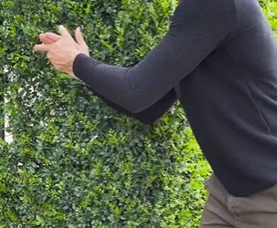 D2000006 Patrão descobriu que sua empregada e sua filha estava passando por necessidades, e ficou sem palavra part2