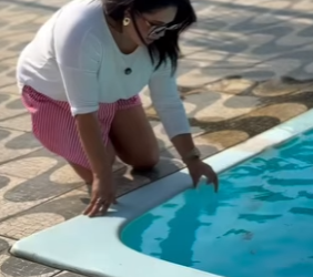 QUE SERÁ QUE ESTÁ ACONTECENDO part1