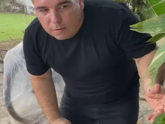 Nunca engane uma vovó esperta part2