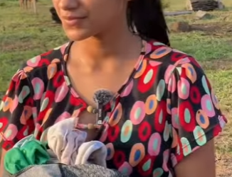 D1800011 Ela enganava a sogra!part2