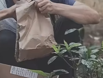 D0100002 Ele tentou se VINGAR disfarçado de mendigo! part2