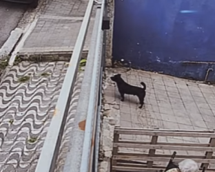 D2100001 Eu estava nas M Ã O S da minha sogra, ela só não imaginava que eu iria….. part2